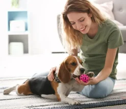 15 balles Ø 6 cm - mini ballon foot, basket, baseball, tennis