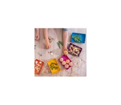 6 barquettes plateaux colorés Bioplastique 12 x 18 x 2.5 cm PM