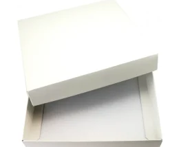 10 Boites neutres 275 x 275 x 47 mm - couvercle cloche à monter