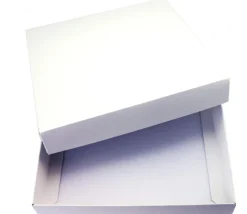 10 Boites neutres 275 x 275 x 47 mm - couvercle cloche à monter