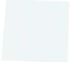 10 cartons blancs rigides carrés 10 x 10 cm neutre - mini plateaux