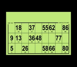 96 Cartons loto carton rigides format standard