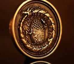 20 Pièces en métal Forged dragon