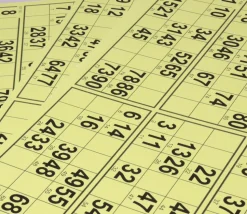 10 planches de 6 cartons loto rigides