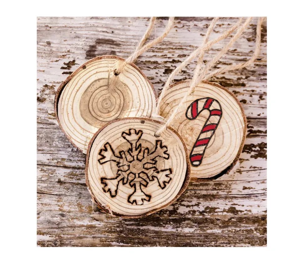 50 Rondelles bois brut avec écorce