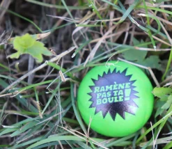 Cochonnet FUN "ramène ta boule" hêtre 3 cm verte