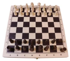 Coffret pliant échec / backgammon bois 29 cm