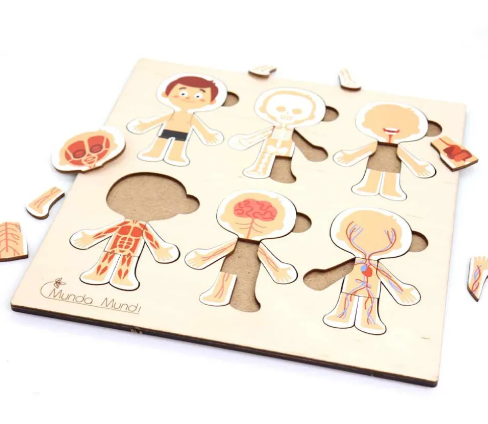 Corps humain découverte : 6 mini puzzles bois