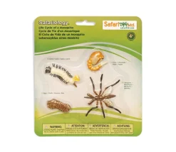 Cycle de la vie d'un moustique