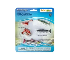 Cycle de la vie d'un saumon