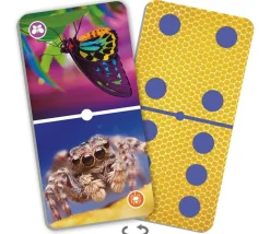 Domino nature : insectes