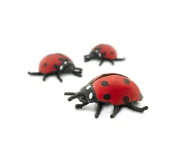 Figurine mini mini coccinelle rouge 25 x 25 x 10 mm