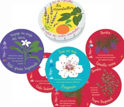 Huiles essentielles découverte - Jeu de mémo