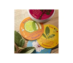 Huiles essentielles découverte - Jeu de mémo