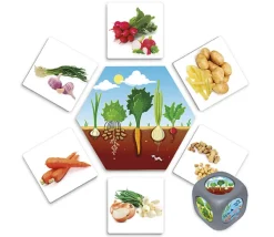 Jeu d'où viennent les aliments ?