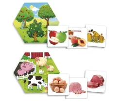 Jeu d'où viennent les aliments ?