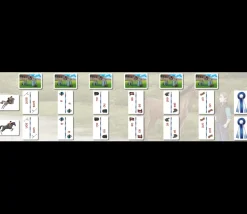 Jeu Ortho Cat's 2 homophones grammaticaux orthographe CE1-collège