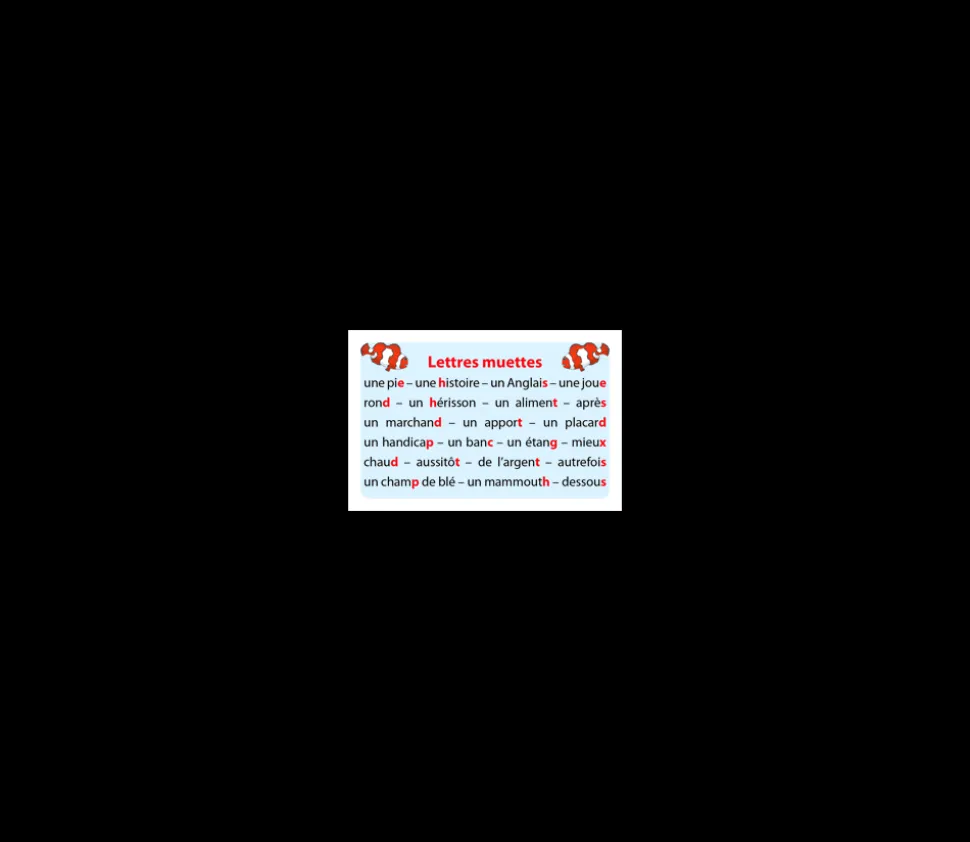 Jeu Ortho Cat's 3 Les mots - orthographe CE1 au collège.