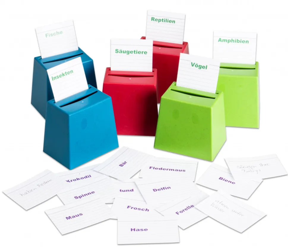 Mini urne - cache cartes quizz / jeu de tri en bio-plastique