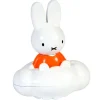 Nuage de pluie Miffie jeux d'eau, jouet de bain