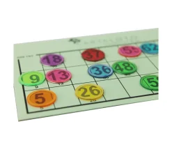 Pions magnétiques ronds loto super qualité - 100 jetons