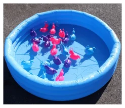 Piscine gonflable Intex de 114 x 25 cm bleu