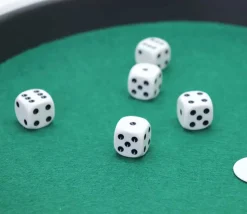 Piste dés 421 de 33 cm - 5 dés + jetons