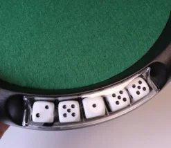 Piste dés 421 de 33 cm - 5 dés + jetons