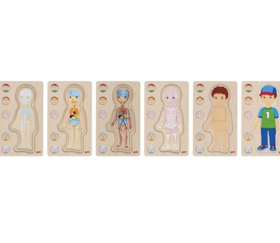 Puzzle corps Humain garçon - 5 puzzles bois à étage anatomie