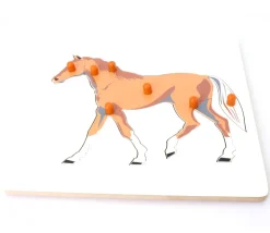 Puzzle en bois cheval - 7 pièces à boutons à encastrer