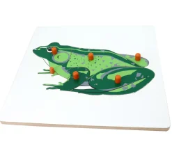 Puzzle en bois grenouille - 6 pièces à boutons à encastrer