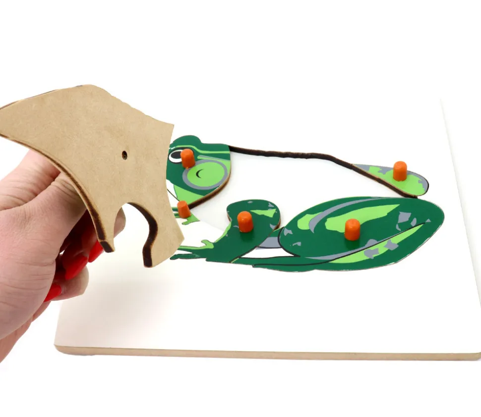 Puzzle en bois grenouille - 6 pièces à boutons à encastrer