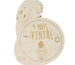 Puzzle La grossesse - 9 mois dans le ventre