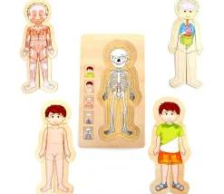 Puzzles anatomie garçon - 4 puzzles à étage
