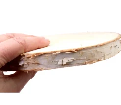 Rondelle géante en bois brut avec écorce - entre 18 et 22 cm