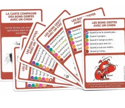 SoCartes Jeu de cartes éducatif façon 7 familles