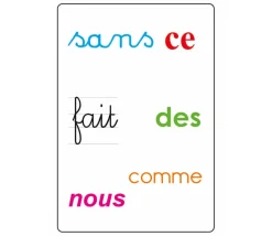 Tamtam Safari Le mots outils du CP - lecture