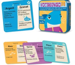 Vocadingo CM1 CM2 - jeu vocabulaire et orthographe basé sur les anagrammes